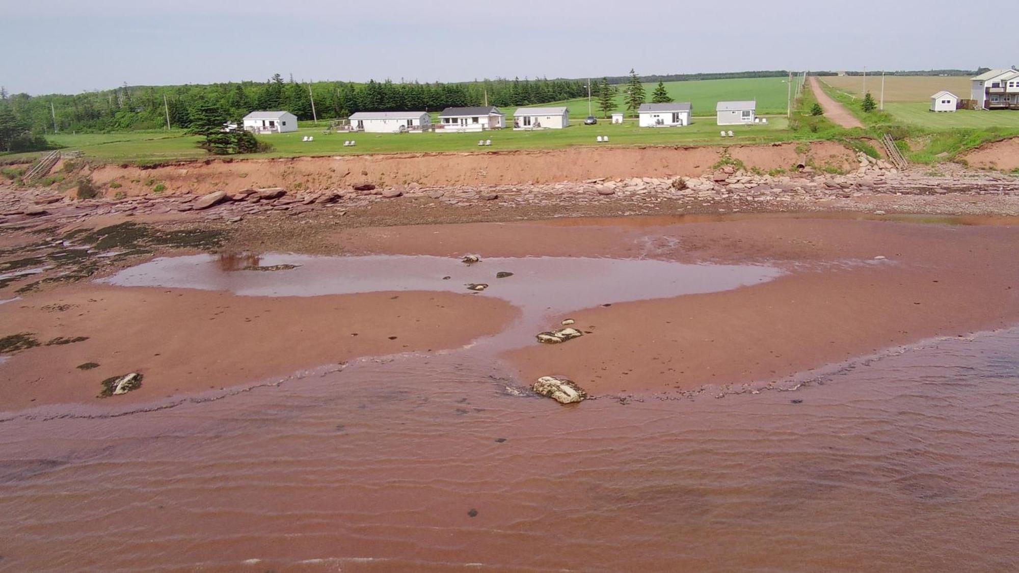 Cottages On Pei-Oceanfront Bedeque 외부 사진